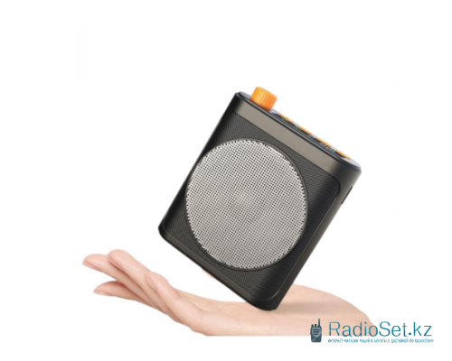 Беспроводная система громкоговоритель 25H